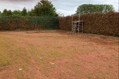 Photo-3