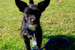 k-IMG-20210928-WA0055